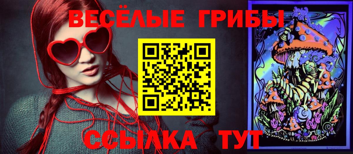 Псилоцибиновые грибы мицелий  Вход с VPN  где продают   Галлюциногенные грибы прущие грибы  Нижневартовск 