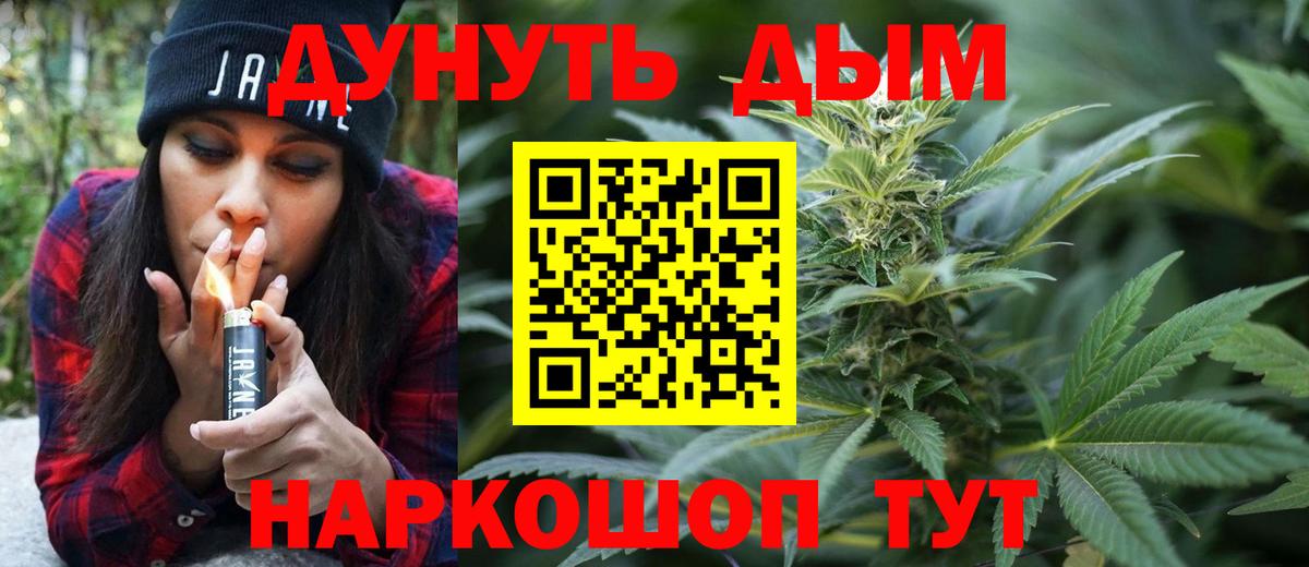 Каннабис сатива Нижневартовск